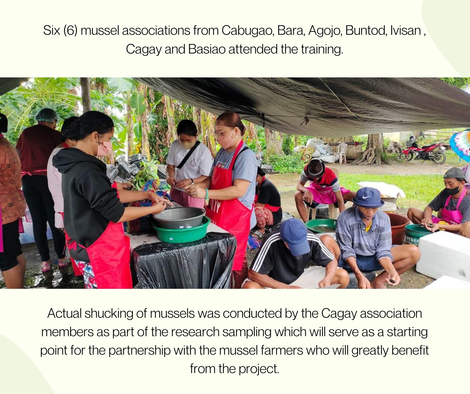 GRF Hublag collabs with UP Visayas on the training of mussel farmers